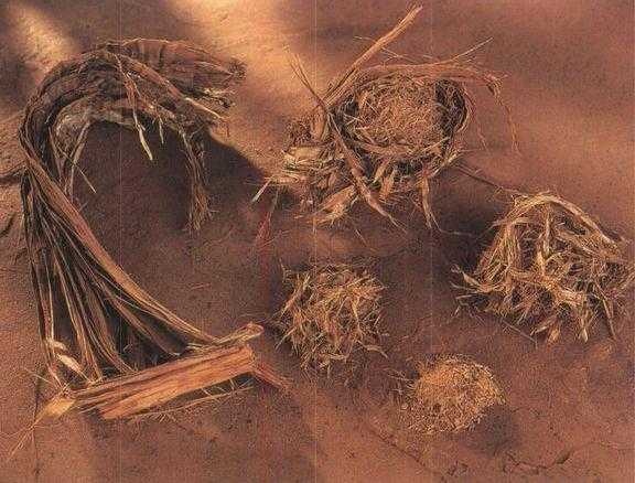 Иллюстрация к книге — 36,6 градусов. Искусство оставаться в живых! [p1820.jpg]