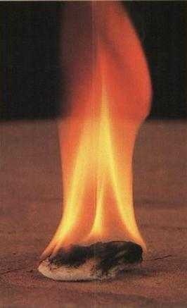 Иллюстрация к книге — 36,6 градусов. Искусство оставаться в живых! [p1823.jpg]