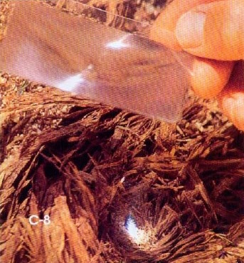 Иллюстрация к книге — 36,6 градусов. Искусство оставаться в живых! [pic1830.jpg]