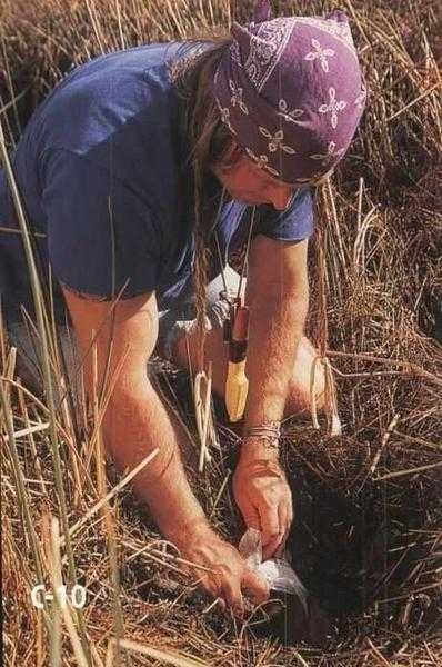 Иллюстрация к книге — 36,6 градусов. Искусство оставаться в живых! [pic1837.jpg]