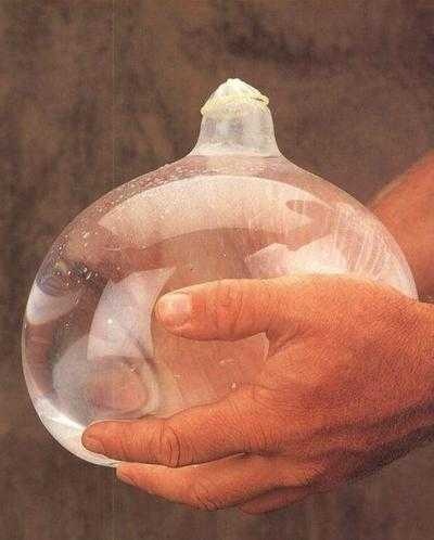 Иллюстрация к книге — 36,6 градусов. Искусство оставаться в живых! [pic1842.jpg]