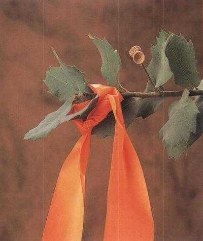 Иллюстрация к книге — 36,6 градусов. Искусство оставаться в живых! [pic1848.jpg]