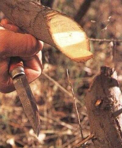 Иллюстрация к книге — 36,6 градусов. Искусство оставаться в живых! [pic1852.jpg]