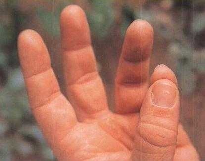 Иллюстрация к книге — 36,6 градусов. Искусство оставаться в живых! [pic1853.jpg]