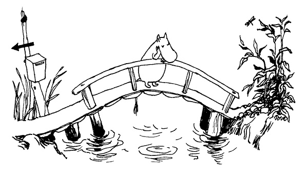 Иллюстрация к книге — Когда прилетит комета [i_002.jpg]