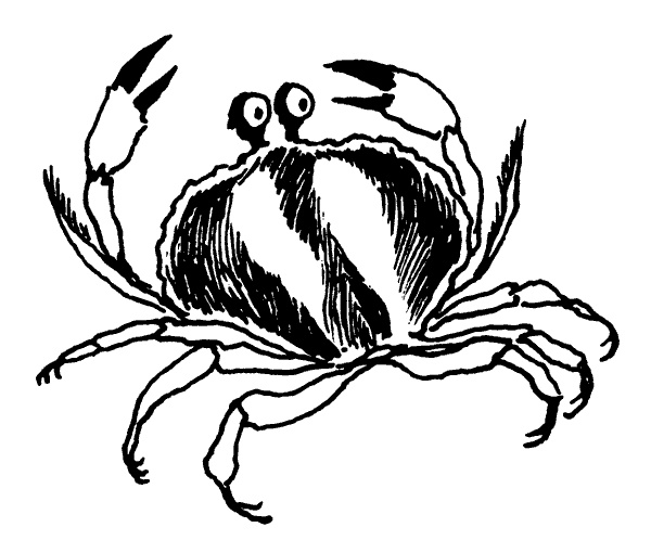 Иллюстрация к книге — Когда прилетит комета [i_006.jpg]