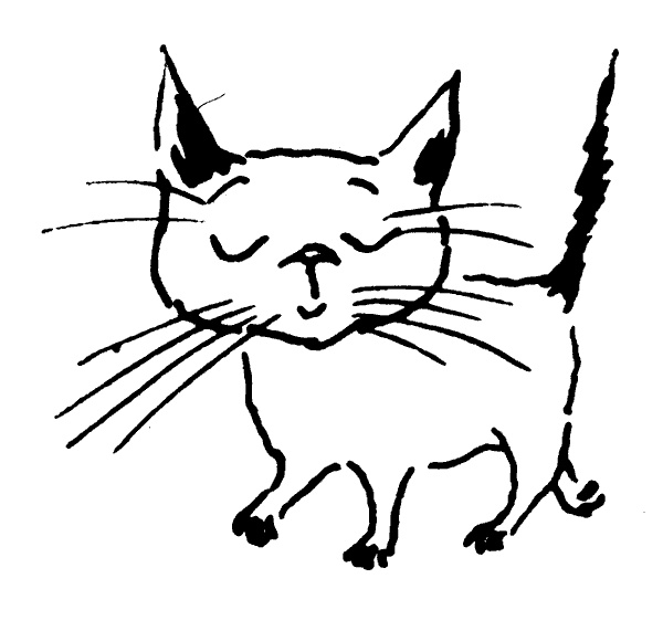 Иллюстрация к книге — Когда прилетит комета [i_007.jpg]