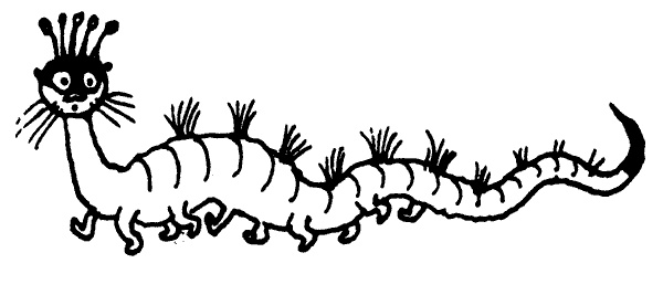 Иллюстрация к книге — Когда прилетит комета [i_029.jpg]