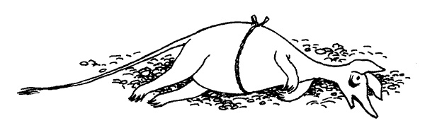 Иллюстрация к книге — Когда прилетит комета [i_036.jpg]