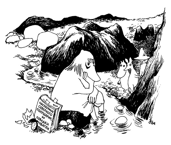 Иллюстрация к книге — Когда прилетит комета [i_038.jpg]