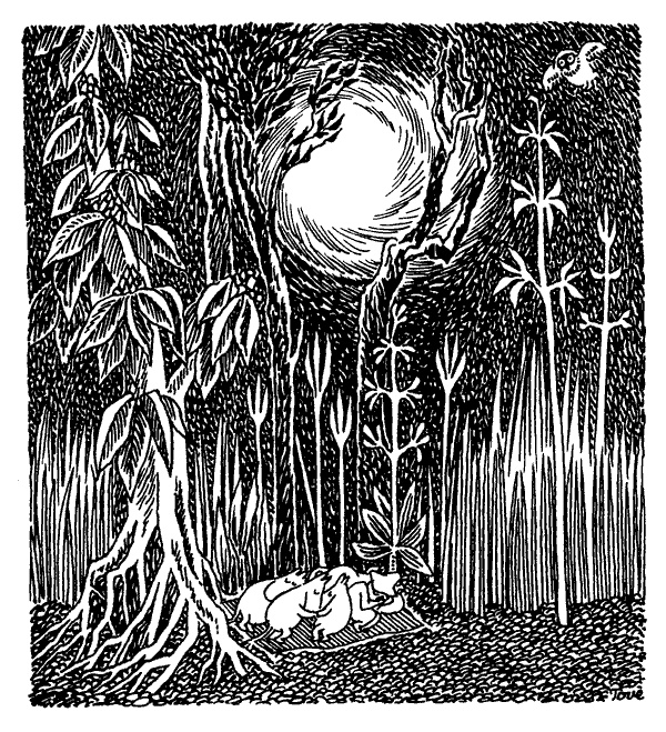 Иллюстрация к книге — Когда прилетит комета [i_042.jpg]