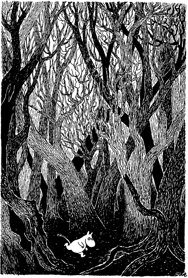 Иллюстрация к книге — Когда прилетит комета [i_076.jpg]