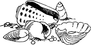 Иллюстрация к книге — Мемуары Муми-папы [i_027.jpg]