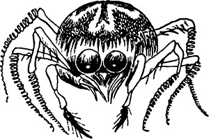 Иллюстрация к книге — Мемуары Муми-папы [i_037.jpg]