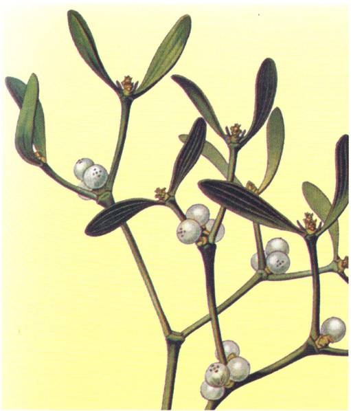 Иллюстрация к книге — Кельты. Первые европейцы [i_057.jpg]