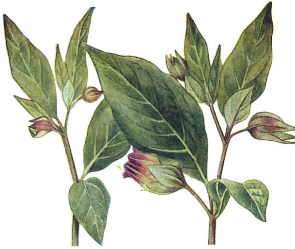 Иллюстрация к книге — Кельты. Первые европейцы [i_095.jpg]