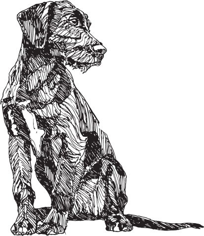 Иллюстрация к книге — В тайге (сборник). С вопросами и ответами для почемучек [_10.jpg]