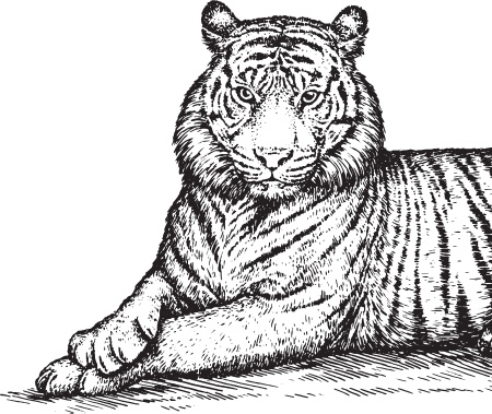 Иллюстрация к книге — В тайге (сборник). С вопросами и ответами для почемучек [_101.jpg]