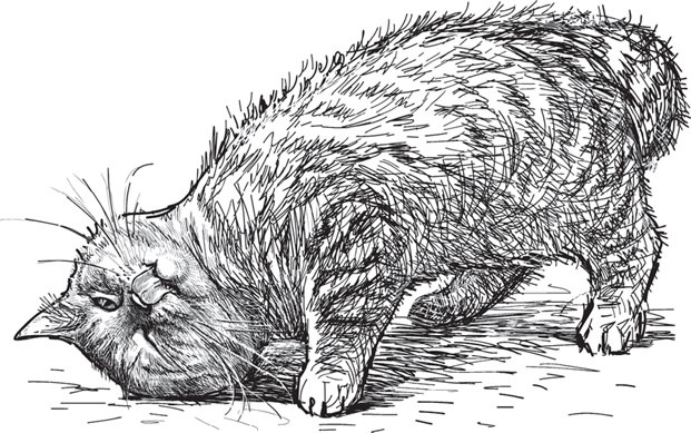 Иллюстрация к книге — В тайге (сборник). С вопросами и ответами для почемучек [_103.jpg]