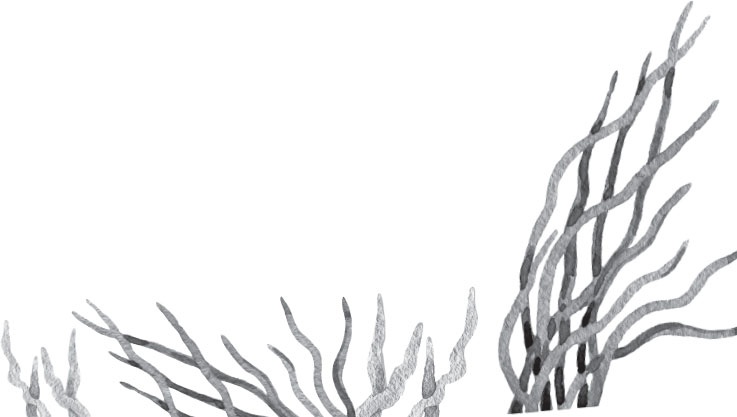 Иллюстрация к книге — В тайге (сборник). С вопросами и ответами для почемучек [_13.jpg]