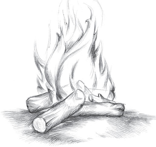 Иллюстрация к книге — В тайге (сборник). С вопросами и ответами для почемучек [_14.jpg]