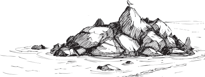 Иллюстрация к книге — В тайге (сборник). С вопросами и ответами для почемучек [_17.jpg]