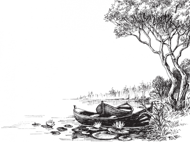 Иллюстрация к книге — В тайге (сборник). С вопросами и ответами для почемучек [_22.jpg]