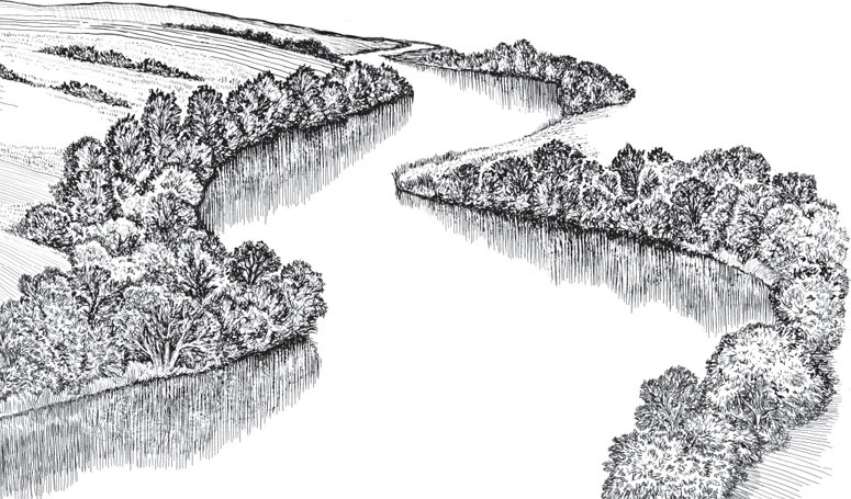 Иллюстрация к книге — В тайге (сборник). С вопросами и ответами для почемучек [_23.jpg]