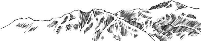 Иллюстрация к книге — В тайге (сборник). С вопросами и ответами для почемучек [_38.jpg]