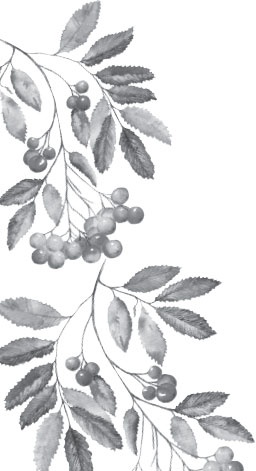 Иллюстрация к книге — В тайге (сборник). С вопросами и ответами для почемучек [_4.jpg]