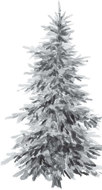 Иллюстрация к книге — В тайге (сборник). С вопросами и ответами для почемучек [_40.jpg]