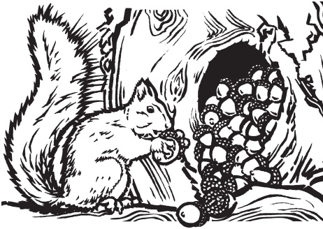 Иллюстрация к книге — В тайге (сборник). С вопросами и ответами для почемучек [_48.jpg]