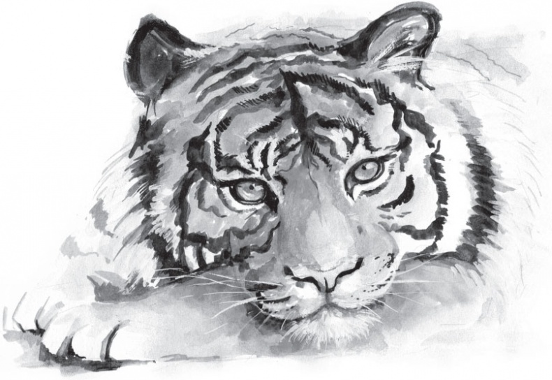 Иллюстрация к книге — В тайге (сборник). С вопросами и ответами для почемучек [_5.jpg]