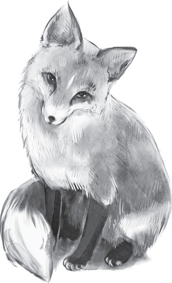 Иллюстрация к книге — В тайге (сборник). С вопросами и ответами для почемучек [_53.jpg]