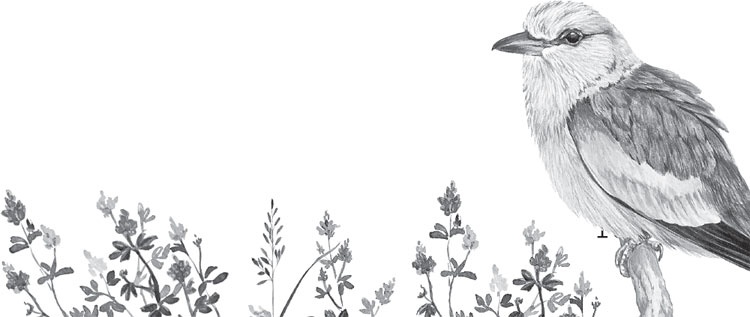 Иллюстрация к книге — В тайге (сборник). С вопросами и ответами для почемучек [_61.jpg]