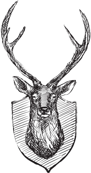 Иллюстрация к книге — В тайге (сборник). С вопросами и ответами для почемучек [_68.jpg]