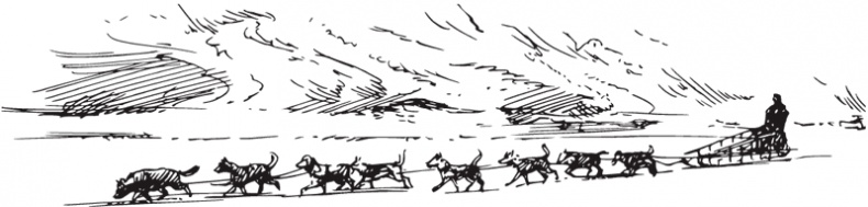 Иллюстрация к книге — В тайге (сборник). С вопросами и ответами для почемучек [_80.jpg]