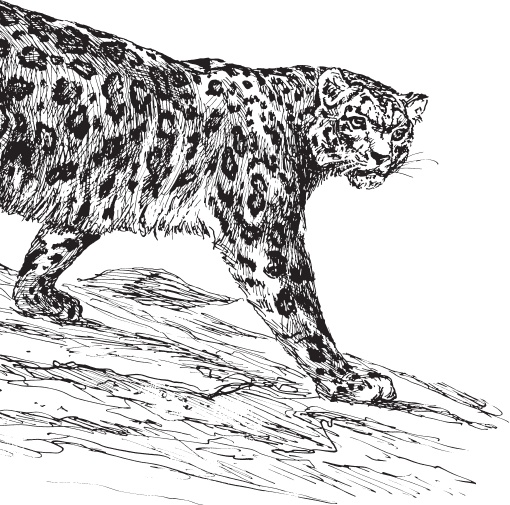 Иллюстрация к книге — В тайге (сборник). С вопросами и ответами для почемучек [_98.jpg]