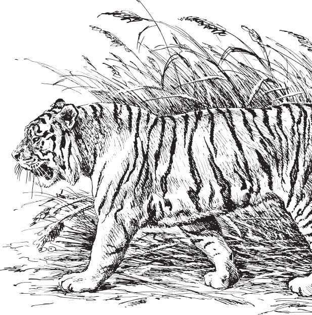 Иллюстрация к книге — В тайге (сборник). С вопросами и ответами для почемучек [_99.jpg]