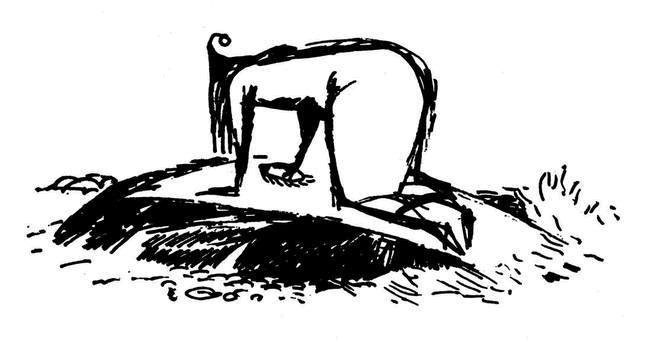 Иллюстрация к книге — Невидимая девочка и другие истории [i_022.jpg]