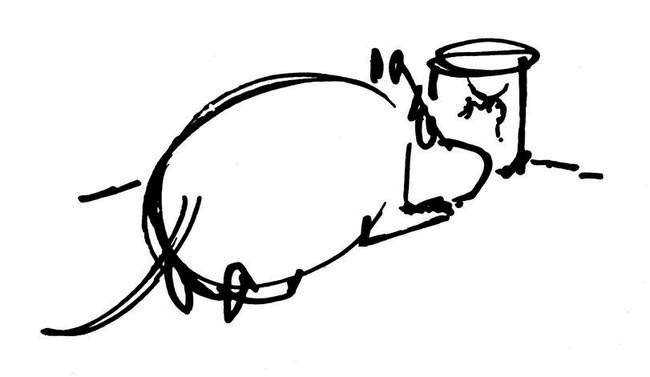 Иллюстрация к книге — Невидимая девочка и другие истории [i_031.jpg]