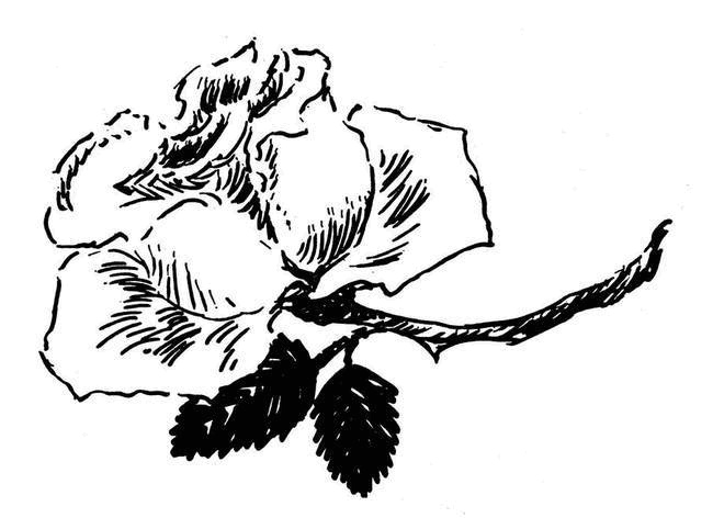 Иллюстрация к книге — Невидимая девочка и другие истории [i_085.jpg]