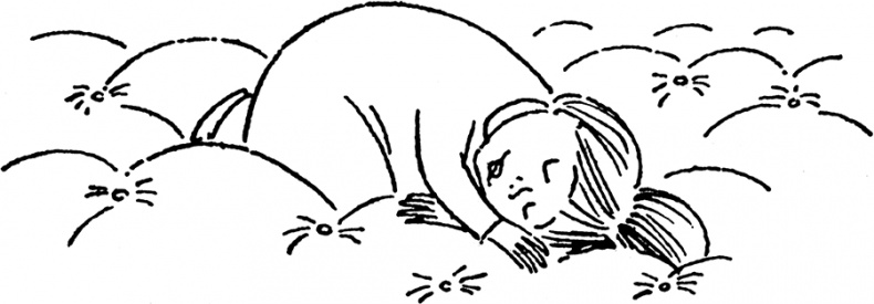 Иллюстрация к книге — В глубине ноября [i_034.jpg]