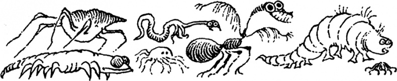 Иллюстрация к книге — В глубине ноября [i_044.jpg]