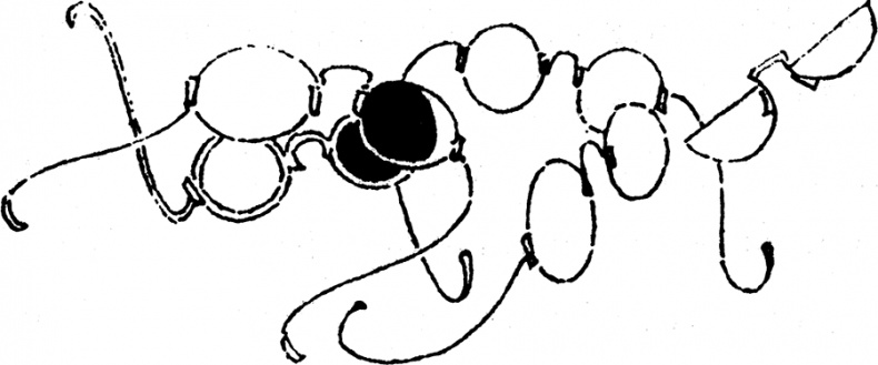 Иллюстрация к книге — В глубине ноября [i_065.jpg]