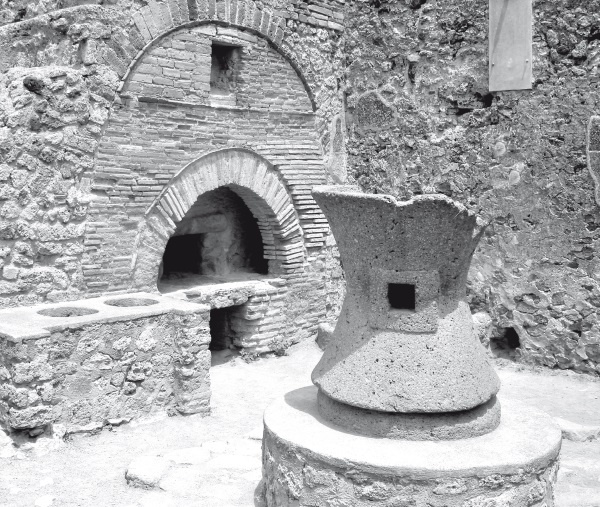 Иллюстрация к книге — 24 часа в Древнем Риме [i_003.jpg]