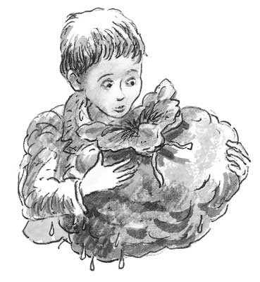 Иллюстрация к книге — Рожденный бежать [i_001.jpg]