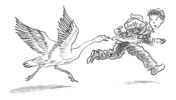 Иллюстрация к книге — Рожденный бежать [i_002.jpg]