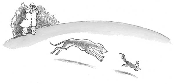 Иллюстрация к книге — Рожденный бежать [i_011.jpg]