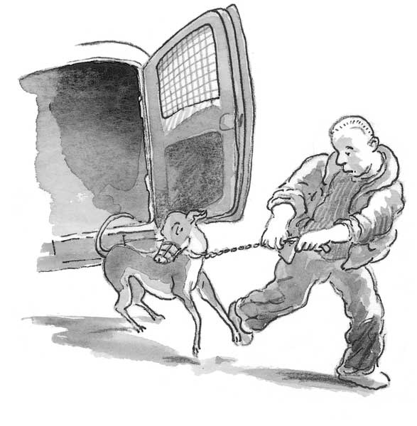 Иллюстрация к книге — Рожденный бежать [i_016.jpg]